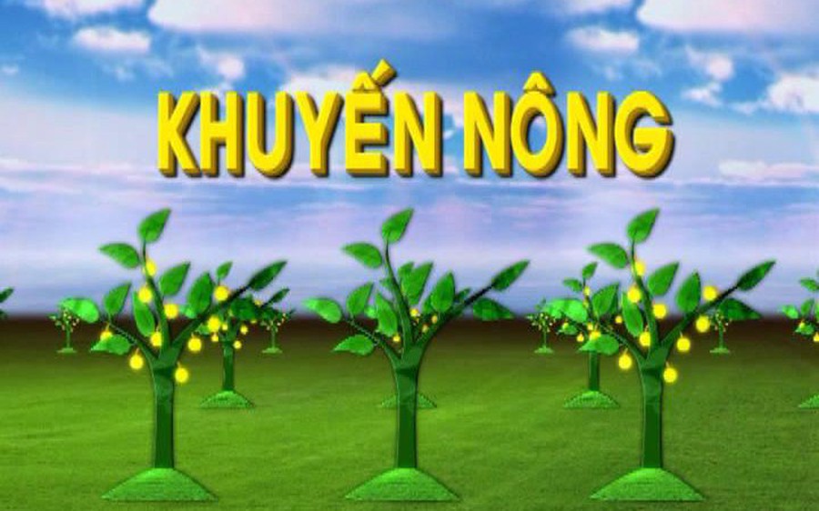 Thông tư số 60/2025/TT-BNNMT: Quy định về đơn vị sự nghiệp công lập thực hiện công tác khuyến nông cấp xã