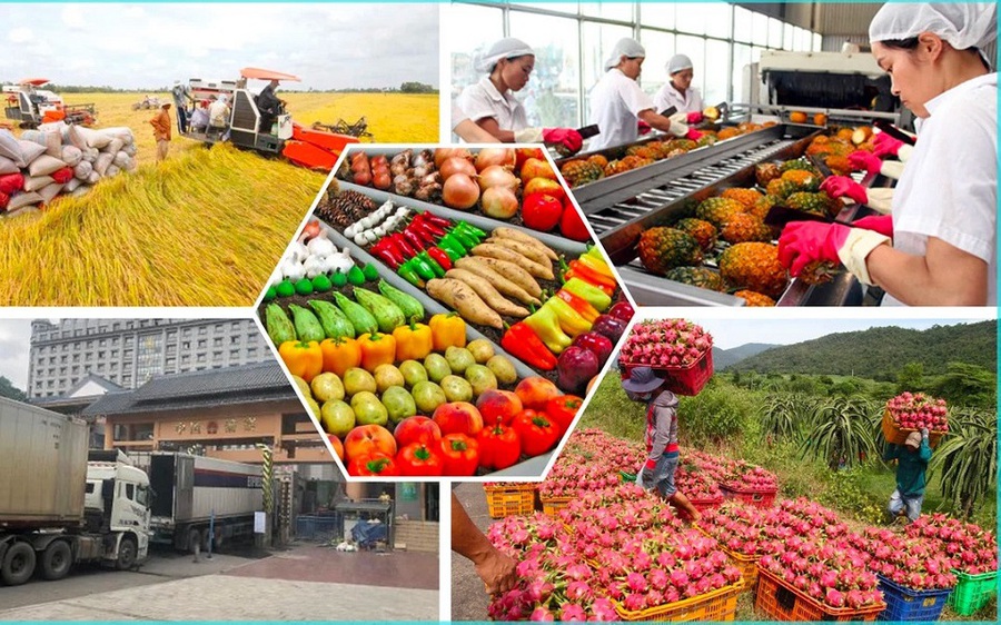 Thủ tướng chỉ đạo đẩy mạnh liên kết tiêu thụ; không để tình trạng ùn tắc hàng hóa, nông sản tại cửa khẩu