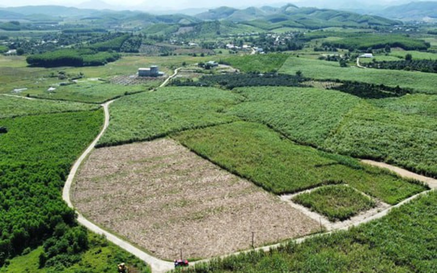Xây dựng kế hoạch để triển khai điều tra, đánh giá đất đai giai đoạn 2026-2030