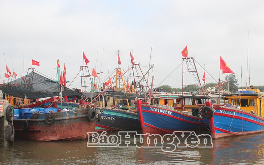 Hoãn các cuộc họp chưa cần thiết; tạm dừng tổ chức Đại hội đảng cấp xã tập trung chống bão