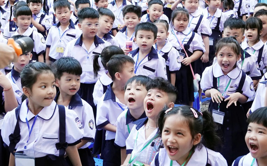 Chi tiết LỘ TRÌNH SẮP XẾP, SÁP NHẬP, GIẢM ÍT NHẤT 30% ĐẦU MỐI CƠ SỞ GIÁO DỤC