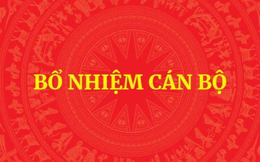Hướng dẫn thủ tục bổ nhiệm chức vụ lãnh đạo, quản lý đối với công chức, viên chức