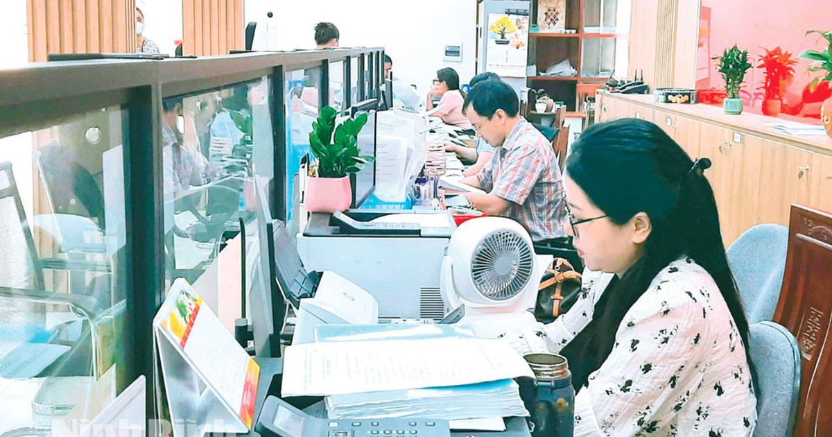 Chính phủ quy định cơ quan, đơn vị kiểm soát thủ tục hành chính