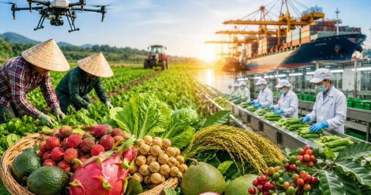 Điều kiện lựa chọn dự án phát triển sản xuất liên kết theo chuỗi giá trị