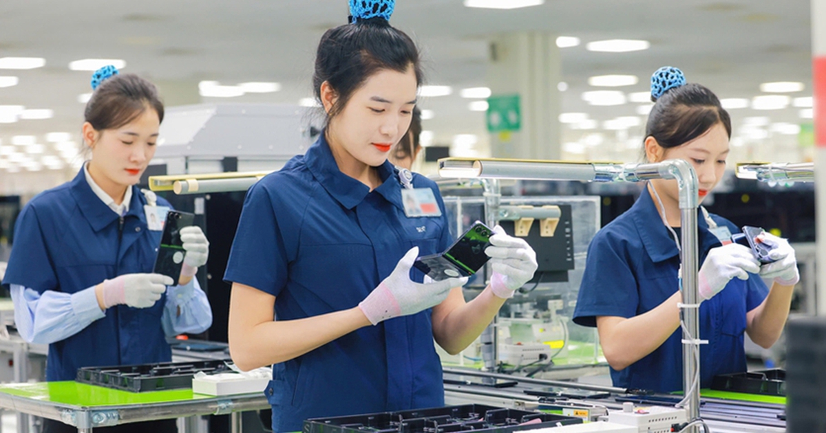 Người sử dụng lao động vi phạm về tiền lương; giờ làm việc; giờ nghỉ ngơi, xử phạt thế nào?