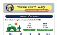 Tình hình kinh tế - xã hội tháng 10 và 10 tháng năm 2022