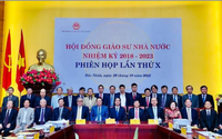 Lý do nào ứng viên xét giáo sư, phó giáo sư năm 2022 không đạt tại Hội đồng Giáo sư các cấp?