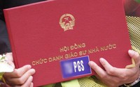 Danh sách Giáo sư, Phó giáo sư được công nhận năm 2022