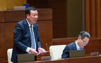 Quốc hội chất vấn Tổng Thanh tra Chính phủ Đoàn Hồng Phong