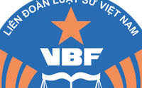 Liên đoàn Luật sư Việt Nam được tổ chức và hoạt động theo nguyên tắc tự quản, dân chủ, bình đẳng