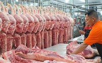Phó Thủ tướng Lê Minh Khái yêu cầu thực hiện ngay các biện pháp bình ổn giá thịt lợn
