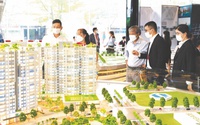 Nhà nước đã 'bắt đúng bệnh' điều chỉnh thị trường bất động sản đi đúng hướng