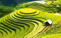 Quy chế hoạt động của Hội đồng điều phối vùng trung du và miền núi phía Bắc