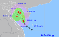 Tin Bão số 5, gió mùa Đông Bắc và các chỉ đạo ứng phó