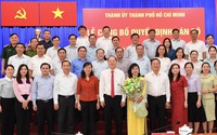 Bổ nhiệm, chỉ định nhân sự TPHCM và 2 địa phương