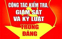 Ba địa phương kỷ luật, đề nghị kỷ luật tổ chức, cá nhân