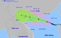 Ứng phó bão số 1: Bằng mọi biện pháp thông báo cho tàu thuyền khẩn trương di chuyển về nơi trú tránh