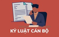 Kỷ luật Chủ tịch UBND tỉnh