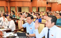 Đề xuất mức chi hỗ trợ 'hiệp sĩ săn bắt muỗi'