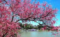 Xây dựng Lâm Đồng trở thành 'Thiên đường xanh', Thành phố trực thuộc Trung ương hiện đại, có bản sắc, thông minh, đáng sống