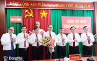 Chỉ định Phó Bí thư Thành ủy, giới thiệu bầu Chủ tịch UBND thành phố