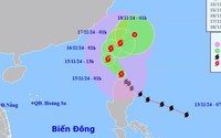 Tin Bão USAGI và các chỉ đạo ứng phó