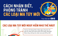 Các kỹ năng cần thiết để nhận biết, phòng tránh ma túy