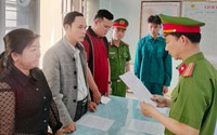 Khởi tố Giám đốc và 3 nhân viên ngân hàng; bắt Tổng Giám đốc, nữ kế toán DN bất động sản trốn truy nã