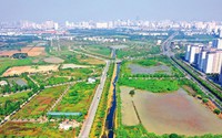 Luật Đất đai 2024: Quy định xử lý người vi phạm pháp luật trong quản lý đất đai