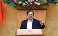 Tinh giản đầu mối xuất khẩu; triển khai sàn nông sản; đưa 'thương lái' vào chuỗi giá trị lúa, gạo