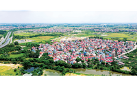 Luật Đất đai 2024: Thẩm quyền giải quyết tranh chấp đất đai