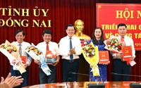 Bổ nhiệm Thư ký Bí thư Tỉnh ủy, Phó Chánh Văn phòng Tỉnh ủy; nữ Chủ tịch HĐTV,...