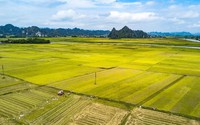 Ý kiến đại biểu Quốc hội về cho phép Luật Đất đai có hiệu lực sớm hơn dự kiến