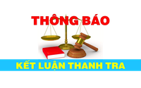 Thanh tra kiến nghị chuyển toàn bộ thông tin vụ việc liên quan đến 3 công ty sang Cơ quan điều tra