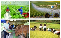 TOÀN VĂN: Quyết định về Tổng điều tra nông thôn, nông nghiệp năm 2025