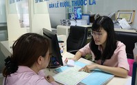 Phó Thủ tướng chỉ đạo tăng cường kiểm soát, quản lý việc đăng ký thành lập doanh nghiệp