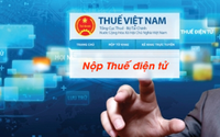 Hướng dẫn đăng ký cấp tài khoản giao dịch thuế điện tử