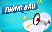 Công bố tình huống thiên tai khẩn cấp, lệnh xây dựng công trình khẩn cấp đê hữu Cầu