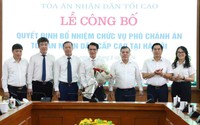 Điều động, bổ nhiệm Chánh án Tòa án nhân dân tỉnh giữ chức Phó Chánh án Tòa án nhân dân cấp cao