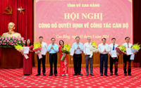 Chỉ định Bí thư Huyện ủy; bổ nhiệm 3 Phó Giám đốc Sở,...