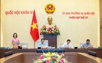 Rà soát kỹ, đánh giá tác động chính sách tiền lương, đãi ngộ, tôn vinh nhà giáo để đảm bảo tính khả thi