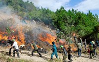 Đề xuất chế độ với người được huy động, người tham gia chữa cháy, cứu nạn, cứu hộ