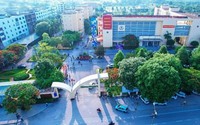 Đề xuất các phương án sắp xếp, sáp nhập các cơ sở giáo dục công lập
