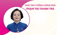 TÓM TẮT TIỂU SỬ ĐỒNG CHÍ PHẠM THỊ THANH TRÀ, PHÓ THỦ TƯỚNG CHÍNH PHỦ