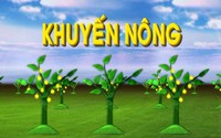 Quy định mới về Trung tâm khuyến nông cấp tỉnh