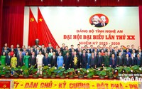 Danh sách Ban Chấp hành Đảng bộ tỉnh, Thường Tỉnh ủy, Ban Thường vụ tỉnh Nghệ An