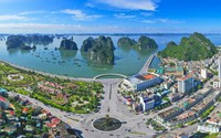 Sắp xếp, tinh gọn cơ sở giáo dục, y tế, đơn vị sự nghiệp