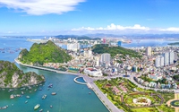 Sắp xếp, sáp nhập, giải thể, tổ chức lại quy mô lớn đối với các đơn vị sự nghiệp công lập