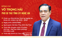 TIỂU SỬ ĐỒNG CHÍ VÕ TRỌNG HẢI, TÂN PHÓ BÍ THƯ TỈNH ỦY, CHỦ TỊCH UBND TỈNH NGHỆ AN