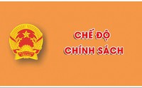 Quy định hợp đồng làm việc đối với viên chức, chấm dứt hợp đồng